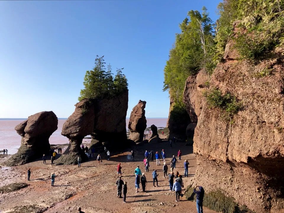 세계 최고 조수차와 갯벌 탐험